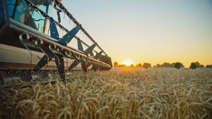 Settore Agricoltura Binetti